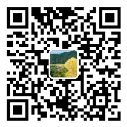 彩神彩票注册平台